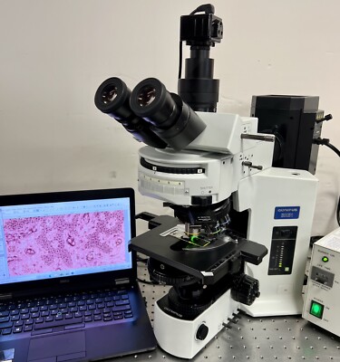 Olympus BX51 Transmitted Nomarski DIC S Apo + Fluorescence Microscope