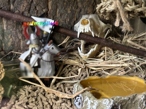 Calavera de zorro real taxidermia hueso esqueleto Halloween pecera decoración 5 piezas coleccionar - Imagen 7 de 7