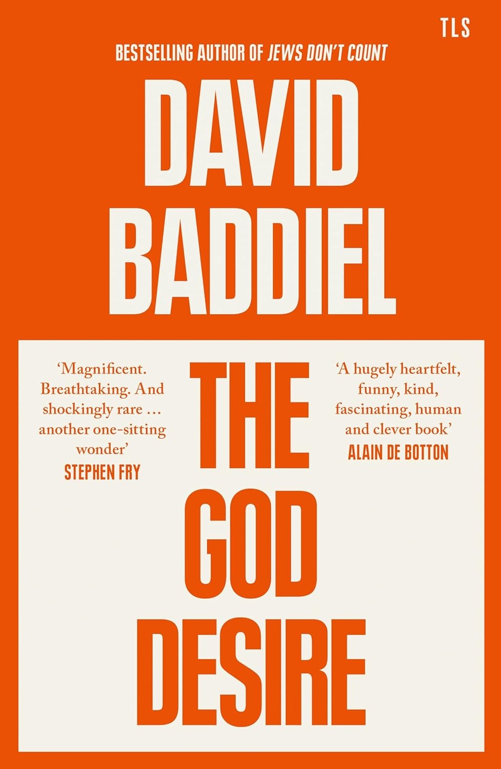 The God Desire: A witty and profound Sunday Times bestselling philosophical essa - Image 4