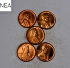 1941+1944+1944-S+1945-S+1947 Lincoln Wheat Penny Cent Lot ~ Gem BU Red~ ZWL33