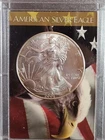 2001 1 oz Silver American Eagle (Brilliant Uncirculated)