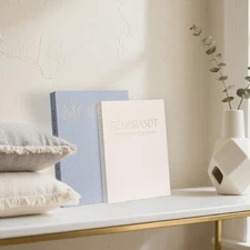 Decorative Faux Books - Set of 2 Linen Boxes - Aesthetic Fake for Modern Home...