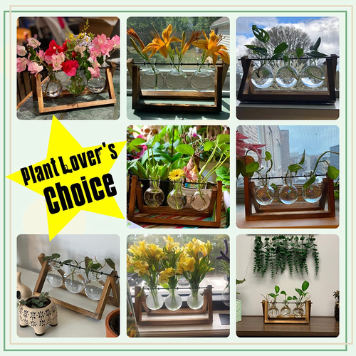 Plant Terrarium with Wooden Stand, Air Planter Bulb Glass Vase Metal Swivel Hold - Picture 5 of 6