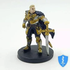 Human Paladin - Tyranny of Dragons #8 D&D Miniature