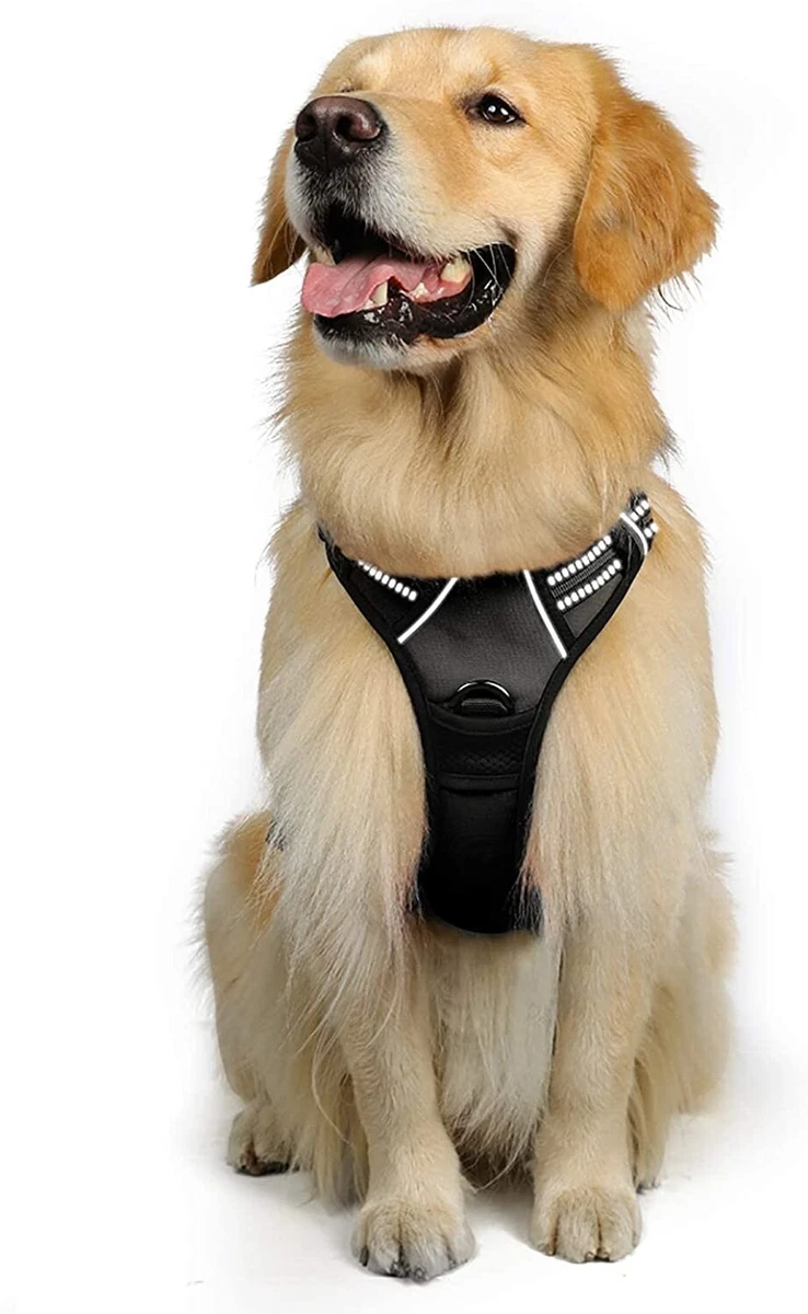 Rabbitgoo front range dog harness sales
