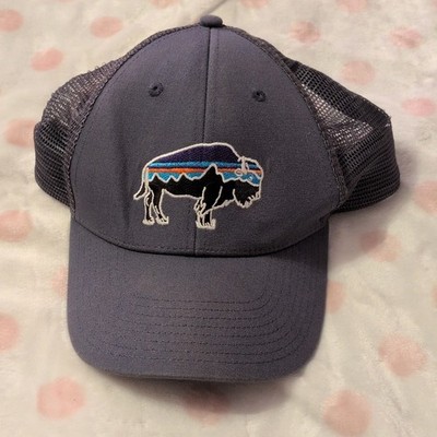 Patagonia Gray Mesh Back Adjustable Trucker Hat Fitz Roy Bison One Size