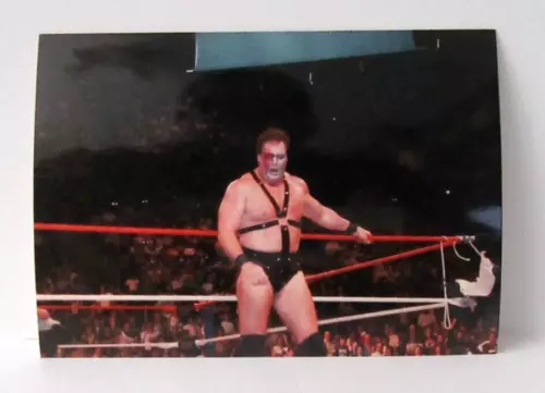 WWF Demolition Ax Original Type 1 WWF WWE Wrestling Ringside 1988 /89