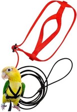 Bird Leash