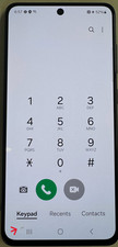 Samsung Galaxy S21 FE 5G Gray OEM Screen Replacement with Frame Tiny Spot 105