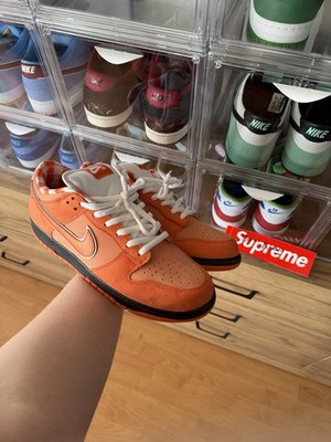 Nike SB Orange Lobster US14