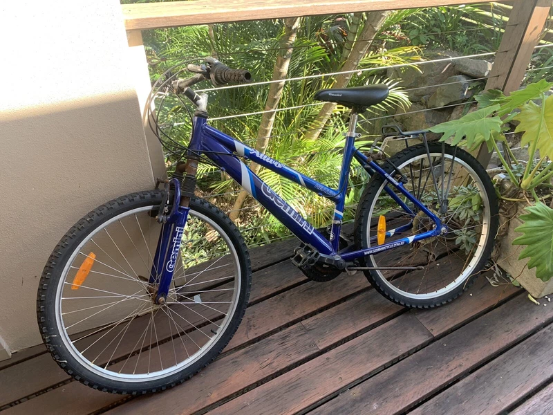 womens mountain bike gumtree