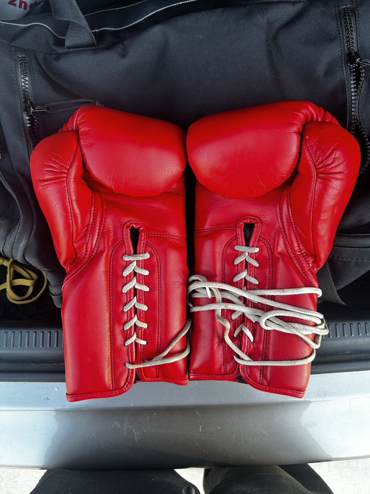 14oz Fly Boxing Gloves X Line eBay