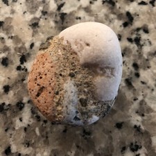 Pudding Stone, Terrazzo, Sea Rock, Sea Stone, Stone Decor, Fish Tank Decor, Rock