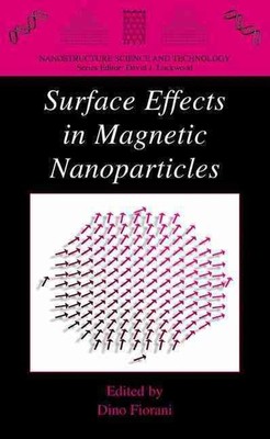 Surface Effects in Magnetic Nanoparticles by Dino Fiorani (English) Hardcover Bo