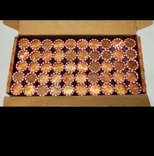 1 Unsearched Bank Roll Of Lincoln Pennies Randomly Picked