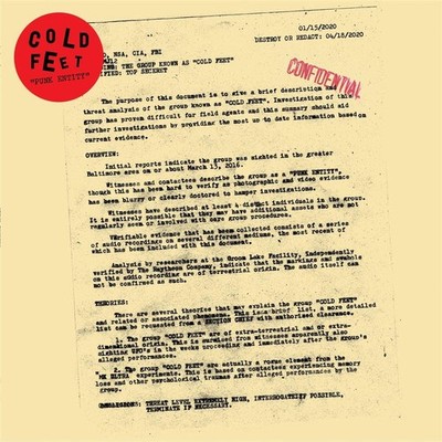 Cold Feet Punk Entity (Vinyl) (UK IMPORT)