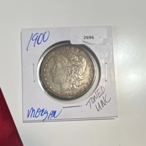 1900 Morgan Dollar $1 Coin Toned Uncirculated Ungraded Uncertified