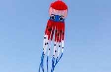 8m 3D Red colorful Huge Octopus Sport Soft Parafoil Kite Single Line Outdoor Toy