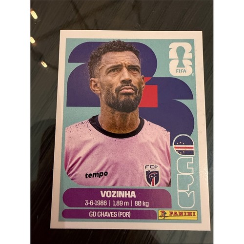 Panini Vozinha Sticker with Pink and Teal Design