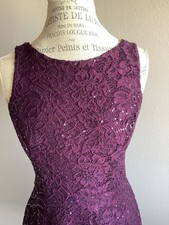 Xtraordinary Purple Plum Dress