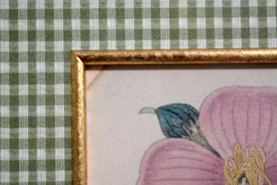 Antiguo pub estampado botánico 1822 por Jame Ridgway grabado a mano por J. Watts #674 Foto 3 de 4