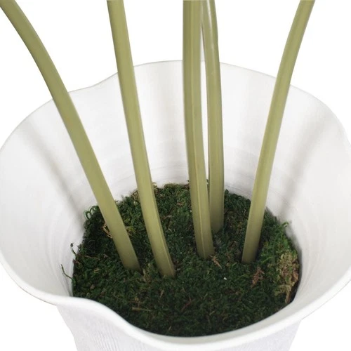 Uttermost 60268 Marisol Stone Gray and Green Potted Olive Plant - Picture 4 of 8