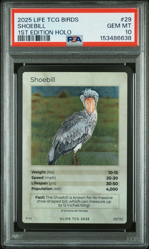 SHOEBILL 2025 LIFE TCG BIRDS 1ST EDITION HOLO #29 /4000 PSA 10 POP 2