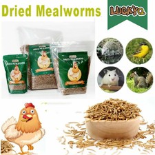 Wholesale Bulk Dried Mealworms for Birds Chickens Fish Turtles Hamster Pet Food