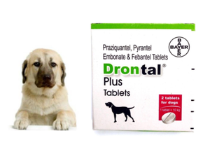 drontal plus ebay