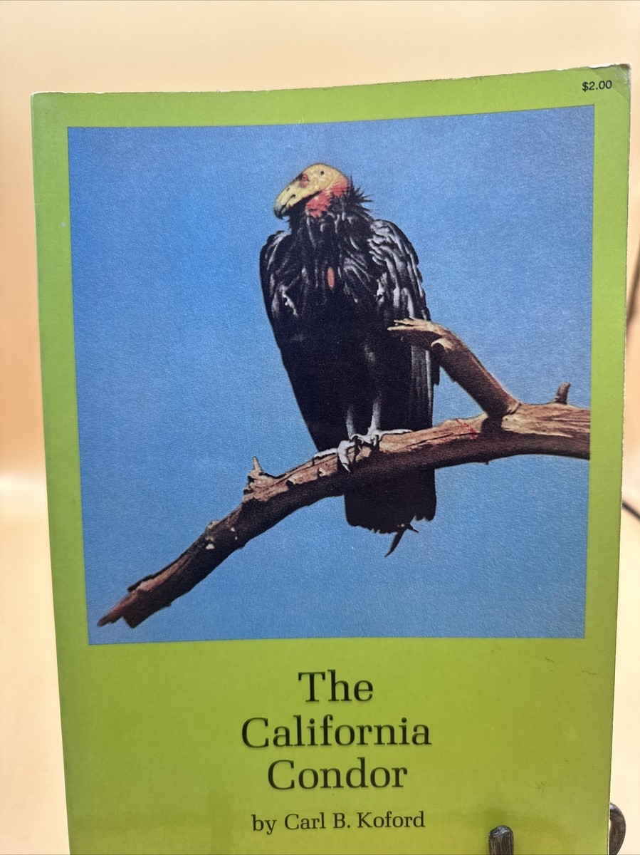 その他 Audubon: California Condor [VHS] その他 Audubon: California Condor [VHS] Amazon.com: Audubon
