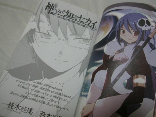 Libro guía de The World God Only Knows primera edición impresa + pegatina limitada japonesa - Imagen 6 de 12