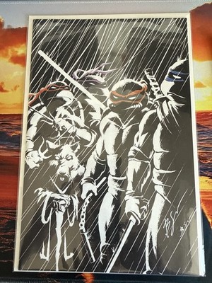 Teenage Mutant Ninja Turtles Limited Edition NYCC Exclusive Signed By Ben Su