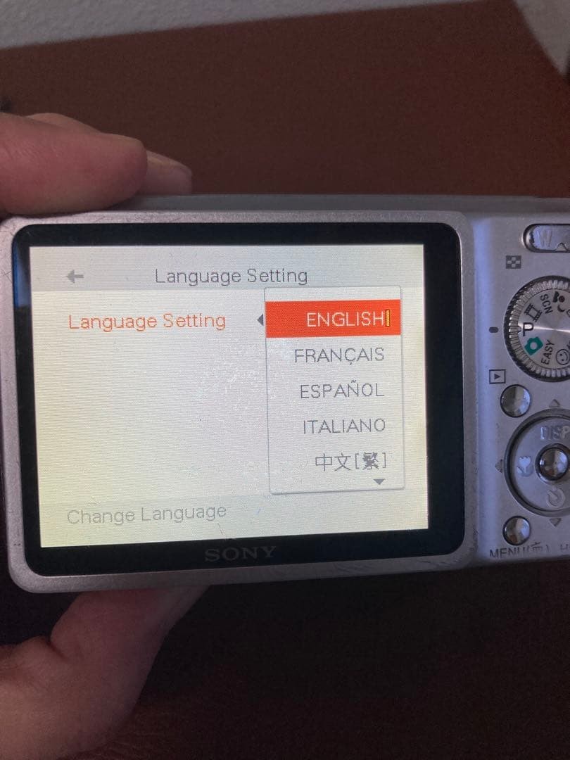 Sony Cyber-shot DSC-W220 12.1MP Digital Camera - Silver for sale