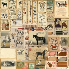 Horse Riding Ephemera Journal Papers - EZ Journal - 7444