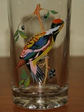 Vintage Sphyrapicus Varius Tropical Exotic Bird Clear Glass Hexagon Base PS 4.5"
