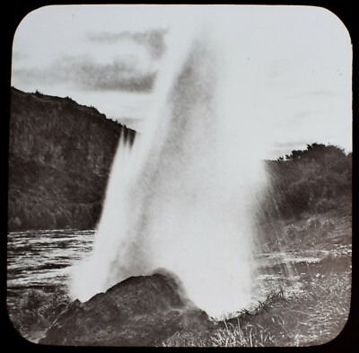 Magisches Laternendia TAUPO KRÄHENNEST GEYSIR UM 1890 FOTO NEUSEELAND