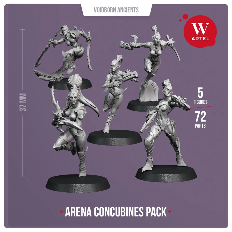 Arena Gore Festival Bundle Artel W Drukhari Wyches Lelith Hesperax Kabalite - Image 2 of 4
