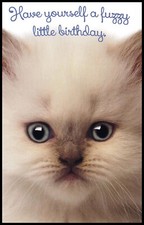 Greeting Card - Cat Kitten - Birthday - 1082