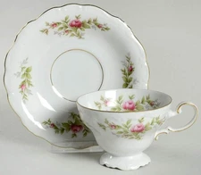 Johann Haviland Moss Rose  Cup & Saucer 6368376