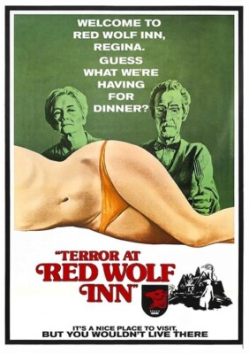 Terror at Red Wolf Inn (Aka Secrets Beyond the Door) (DVD) John Neilson, NEW