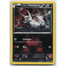 Team Magma's Poochyena Double Crisis 17/34 Common HP Pokemon