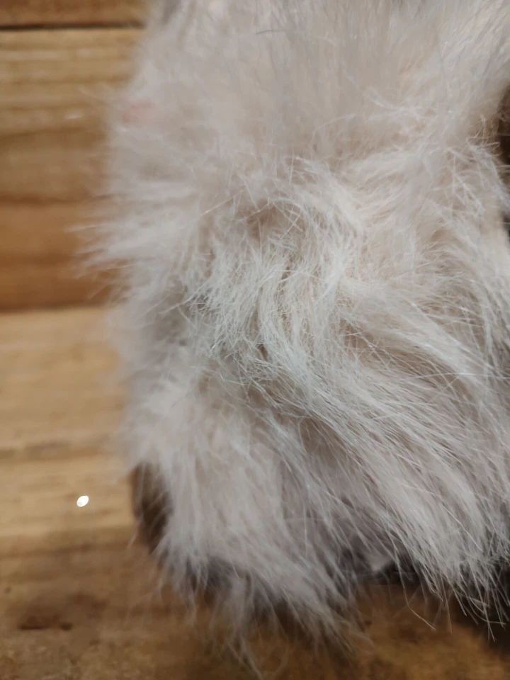 Ganz  Himalayan Kitty Cat Vintage - Image 4 of 4