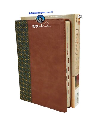 Biblia de Estudio Scofield Pastoral Reina Valera 1960 cafe y verde con indice