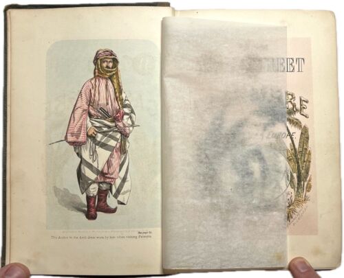 1859 WALL STREET TO CASHMERE ASIA AFRICA EUROPE JOHN B IRELAND ILLUSTRATED 1ST - Picture 6 of 24