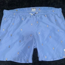 Trunks Surf & Swim Co Blue Pineapple Mens Sano Swim Shorts Size L