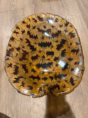 Vintage Faux Painted Acrylic Sea Turtle Taxidermy Style Shell Decor Brown