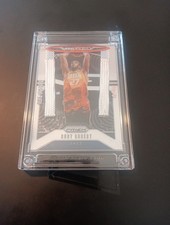 2021 Rudy Gobert Net Relic 9/49