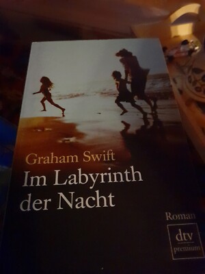 Im Labyrinth der Nacht von Graham Swift | Sehr Gut 