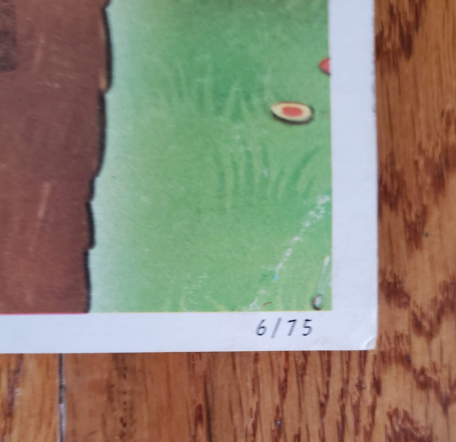 Picture 5 of 5