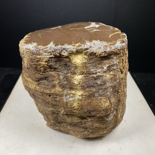 646GR TOP Rare Natural Yellowish Brown Amber Rough Mineral Specimen - Picture 15 of 18